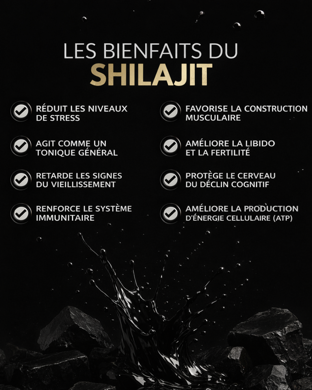 SHILAJIT (Résine pure) - NUTRITION PRO