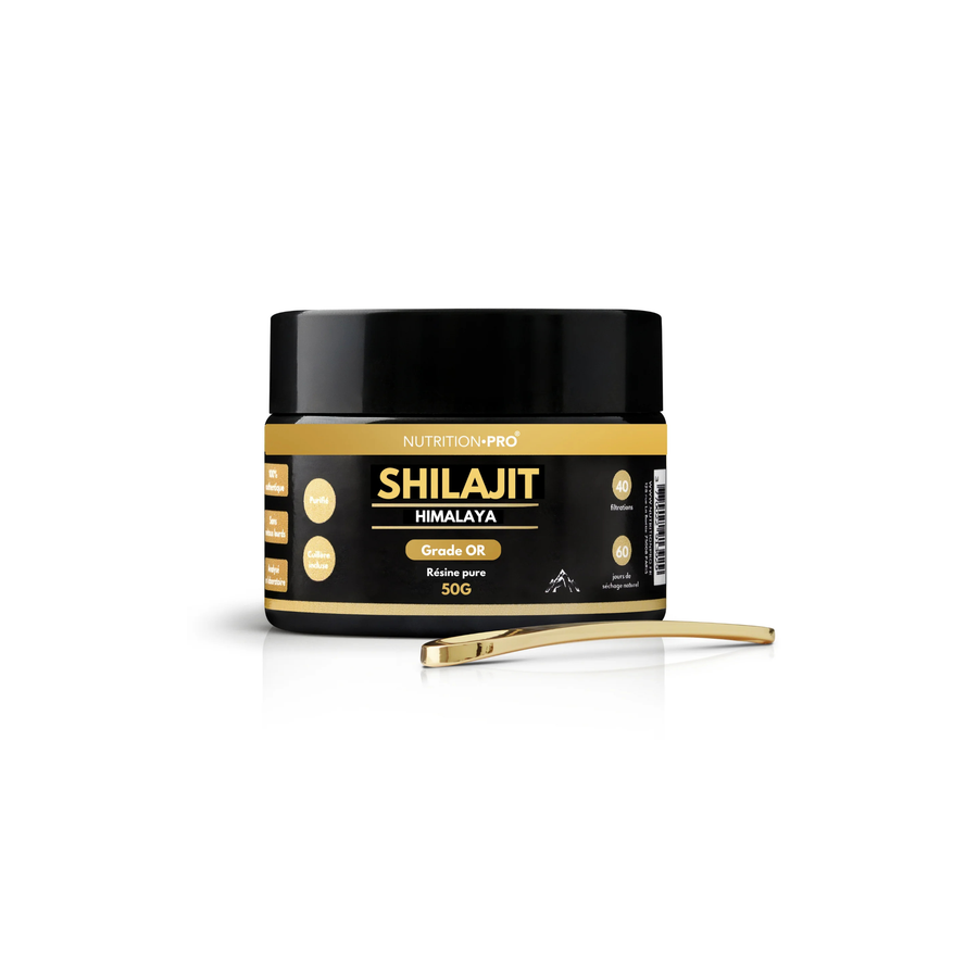 SHILAJIT (RÉSINE PURE) - NUTRITION PRO